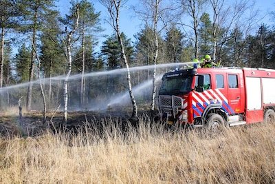 Recorddrukte voor brandweer door droogte: ‘Natuur uit voorzorg op slot’